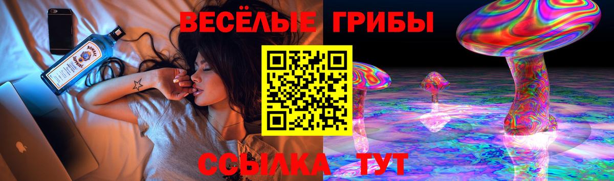 Псилоцибиновые грибы Psilocybe  Вход с VPN  Кольчугино 